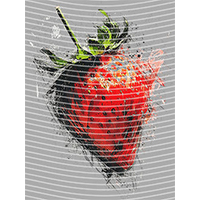 Cartoons and other-CO 1027